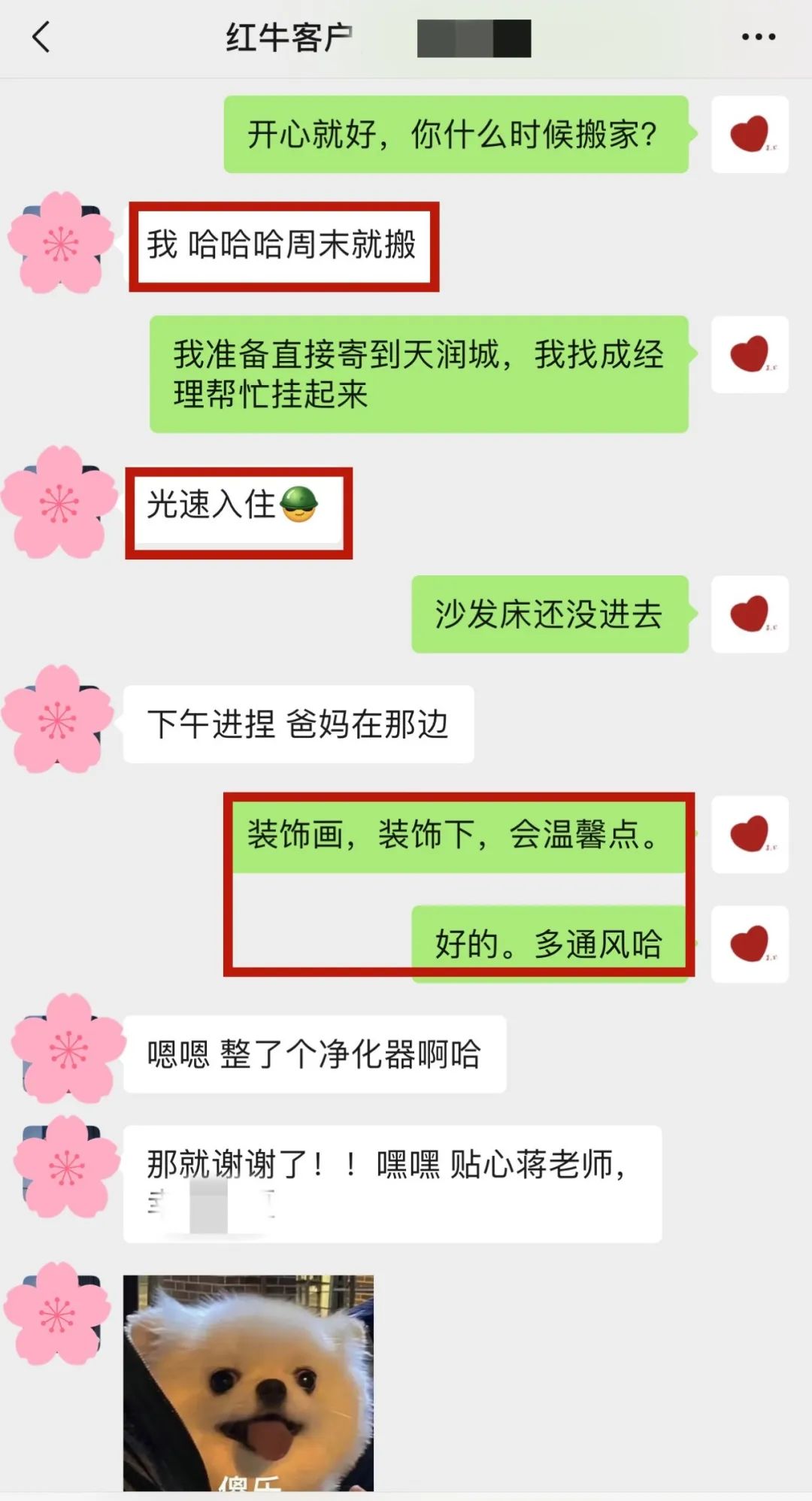 喜報｜金秋十月，收獲滿滿，紅牛裝飾再獲三面錦旗！